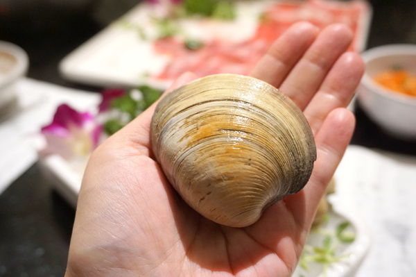 DSC02124.JPG DSC02124.JPG