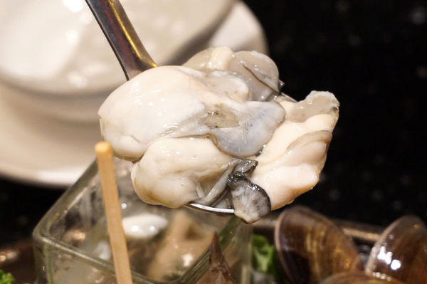 DSC02088.JPG DSC02088.JPG