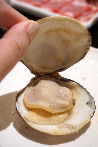 DSC02144.JPG DSC02144.JPG