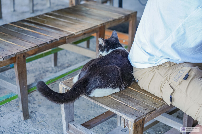 花蓮必訪的10分之1海鮮燒烤,品嚐半山腰上的新鮮漁獲。