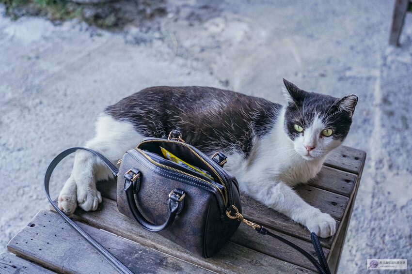 花蓮必訪的10分之1海鮮燒烤,品嚐半山腰上的新鮮漁獲。