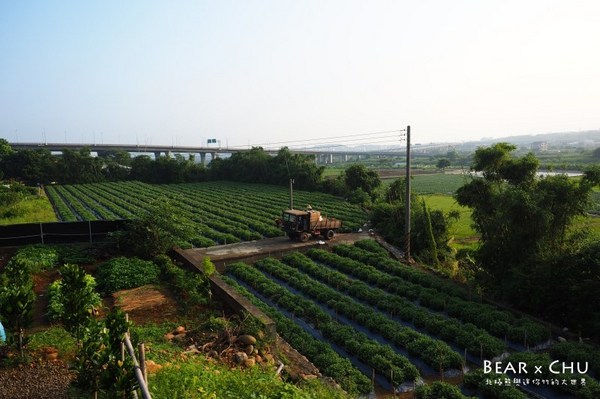 黃金梯田露營地:【露營場地推薦】苗栗銅鑼黃金梯田露營區・熊寶露營預備備場勘