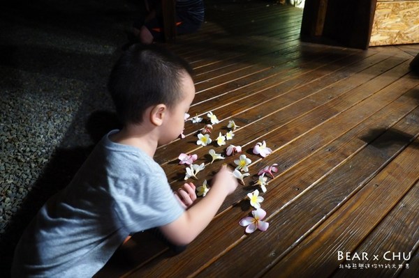 黃金梯田露營地:【露營場地推薦】苗栗銅鑼黃金梯田露營區・熊寶露營預備備場勘