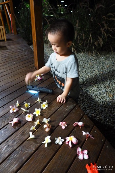 黃金梯田露營地:【露營場地推薦】苗栗銅鑼黃金梯田露營區・熊寶露營預備備場勘