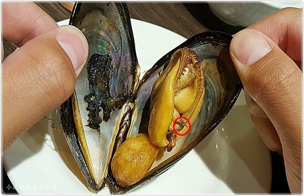 三食六島馬祖料理餐廳:台中西屯』三食六島馬祖料理║道地馬祖料理,融入創意的傳統家鄉味,台中就可以吃到惹~