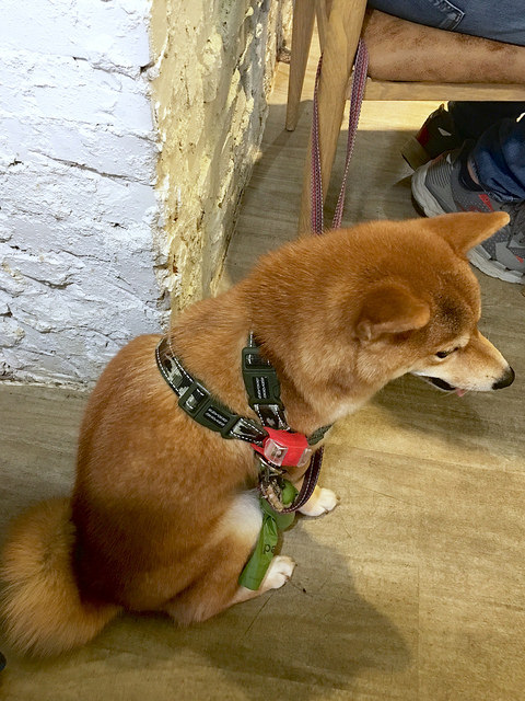 非你吃三明治 via Kate’s Fun Zone