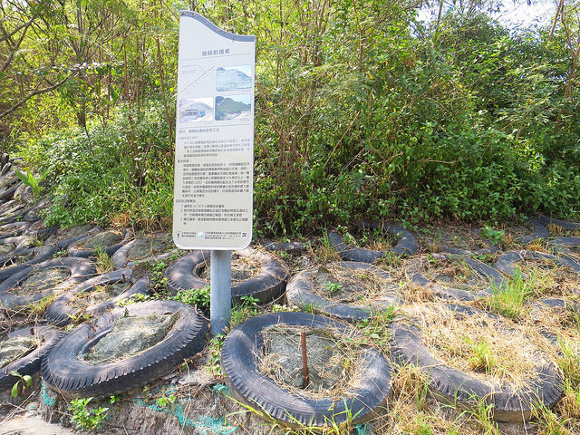 牛埔泥岩水土保持教學園區30