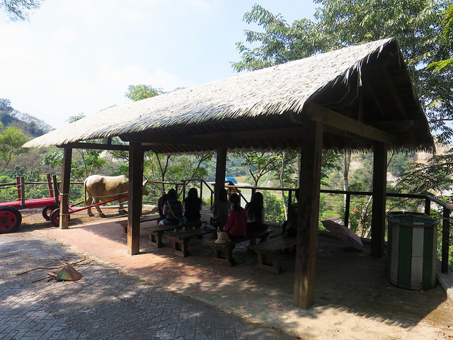 牛埔泥岩水土保持教學園區05