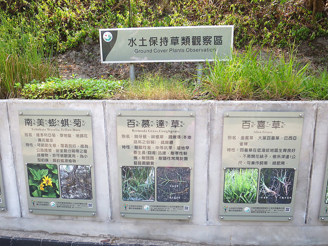 牛埔泥岩水土保持教學園區20