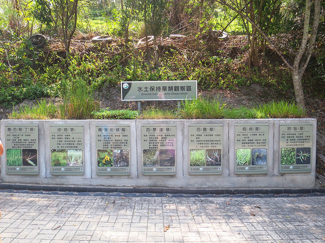 牛埔泥岩水土保持教學園區19