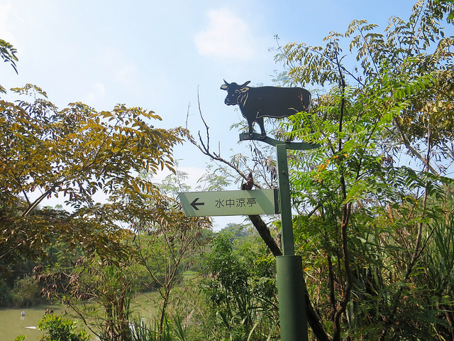 牛埔泥岩水土保持教學園區17