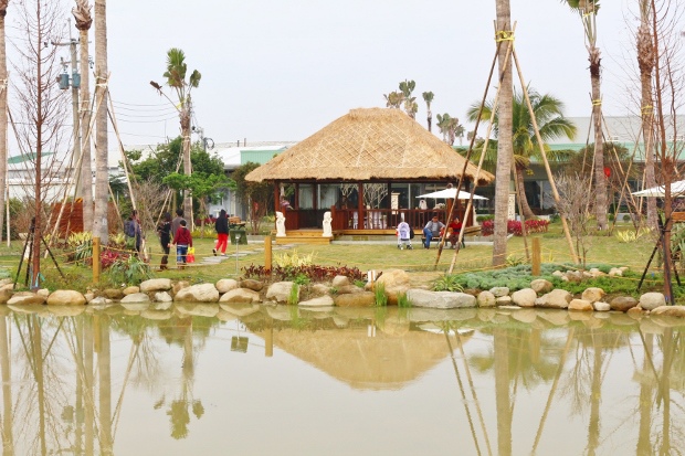 IMG_8235 (620x413).jpg IMG_8235 (620x413).jpg