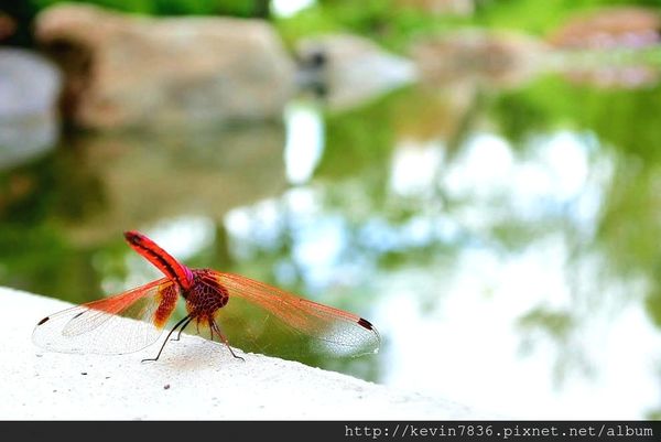 20171017_224610.jpg 20171017_224610.jpg