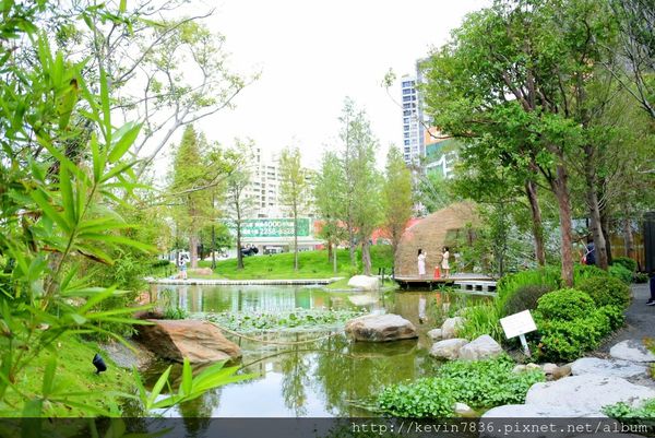 20171017_213851.jpg 20171017_213851.jpg