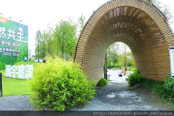 20171017_233045.jpg 20171017_233045.jpg