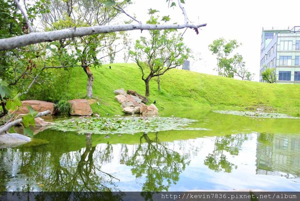 20171017_223259.jpg 20171017_223259.jpg