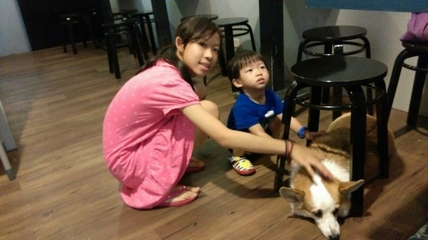 丼口食堂：高雄~丼口食堂~挑戰大胃王相撲丼一碗兩種享受~征服饕客的味蕾~少女心的乾燥花拍不停~正餐宵夜的好餐廳~