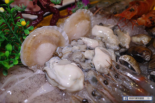 樹林美食【太將鍋樹林復興店】樹林火鍋推薦。頂級食材澎湃海鮮船。自助霜淇淋吃到爽