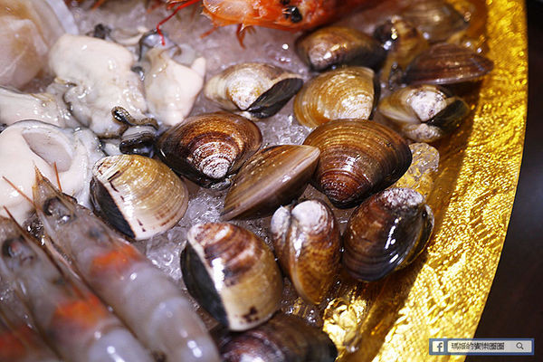 樹林美食【太將鍋樹林復興店】樹林火鍋推薦。頂級食材澎湃海鮮船。自助霜淇淋吃到爽