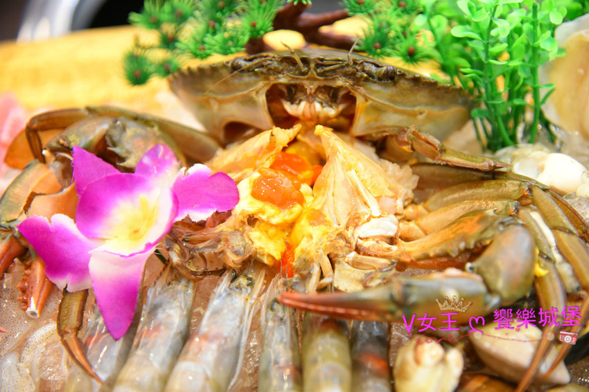 DSC_2160_meitu_16.jpg DSC_2160_meitu_16.jpg