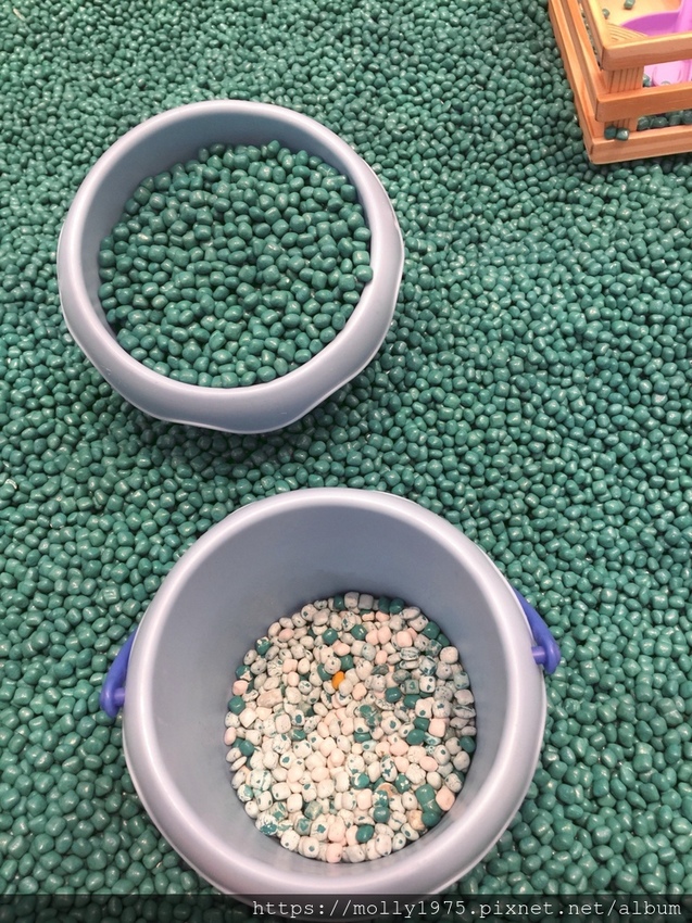 2019-09-28 18.09.28.jpg