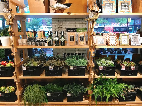 IMG_0238.JPG IMG_0238.JPG