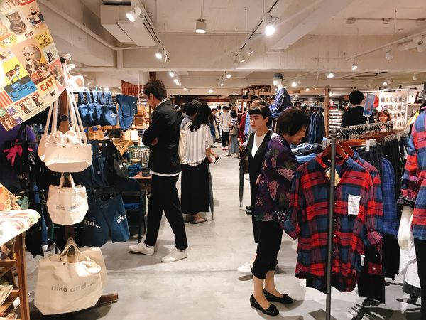 IMG_0243.JPG IMG_0243.JPG