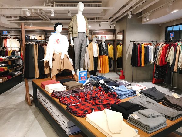 IMG_0242.JPG IMG_0242.JPG