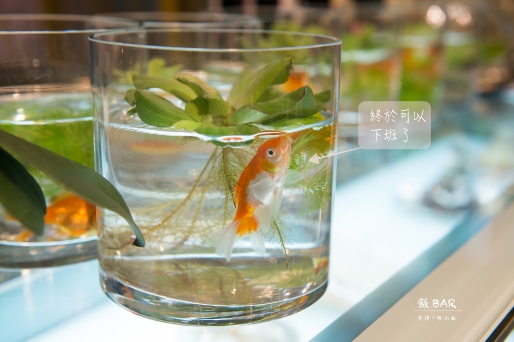 『中料食記』飯BAR x 信義微風=飯BAR station|飯BAR三店10/14全新開幕|時髦中菜顛覆傳統中式料理的視覺饗宴 - 麥仔の生活日記