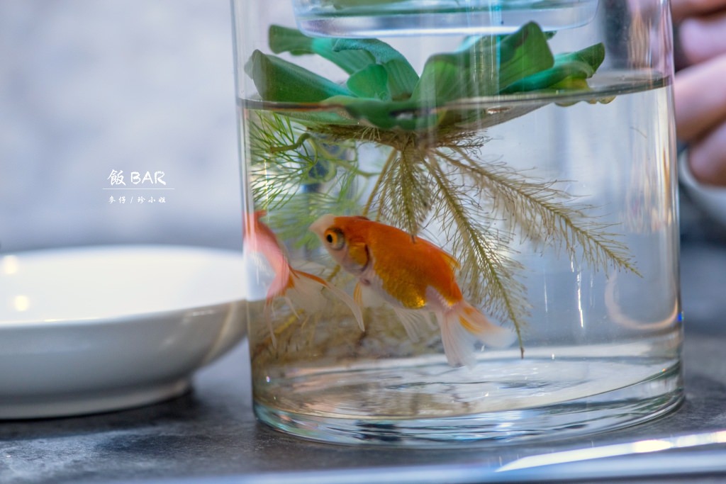 『中料食記』飯BAR x 信義微風=飯BAR station|飯BAR三店10/14全新開幕|時髦中菜顛覆傳統中式料理的視覺饗宴 - 麥仔の生活日記