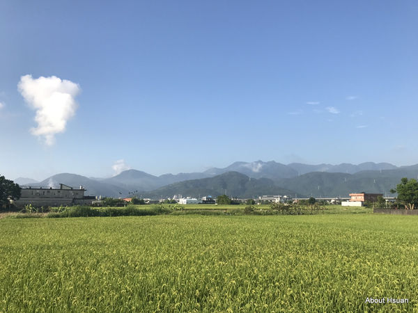 IMG_1671.JPG IMG_1671.JPG