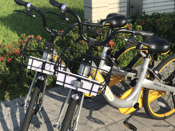 IMG_1684.JPG IMG_1684.JPG