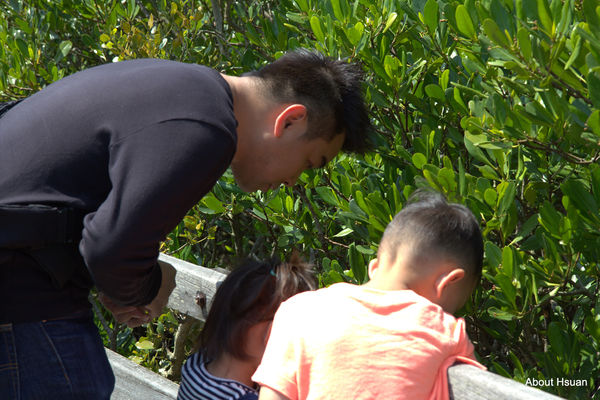 IMG_0350.jpg IMG_0350.jpg