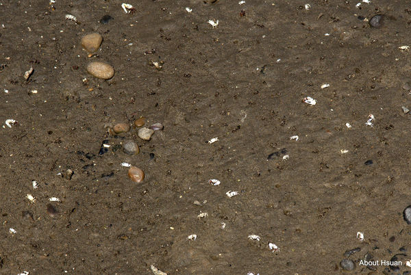 IMG_0358.jpg IMG_0358.jpg