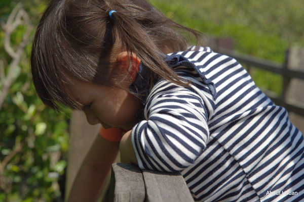 IMG_0353.jpg IMG_0353.jpg