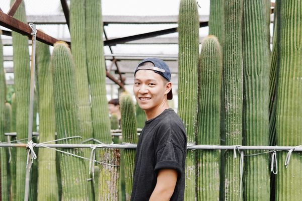 彰化田尾｜IG爆紅景點，農村仙人掌園，一秒到美國加州！田尾公路花園中的仙人掌秘境