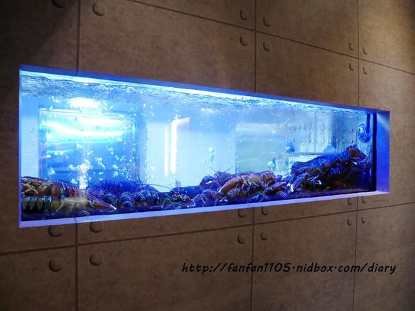 【信義區鐵板燒】大初鐵板燒 Teppanyaki 高CP值 活海鮮 預約制無菜單料理餐廳 (5).JPG