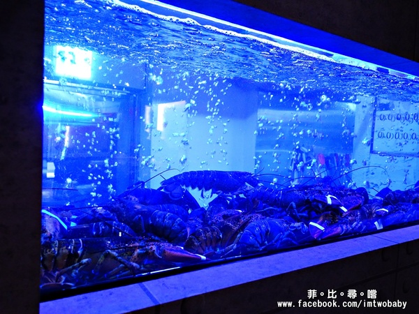 大初鐵板燒Teppanyaki:大初 teppanyaki 鐵板燒 頂級活海鮮無菜單料理 海陸雙拼一次滿足 忠孝東路美食/捷運市政府站