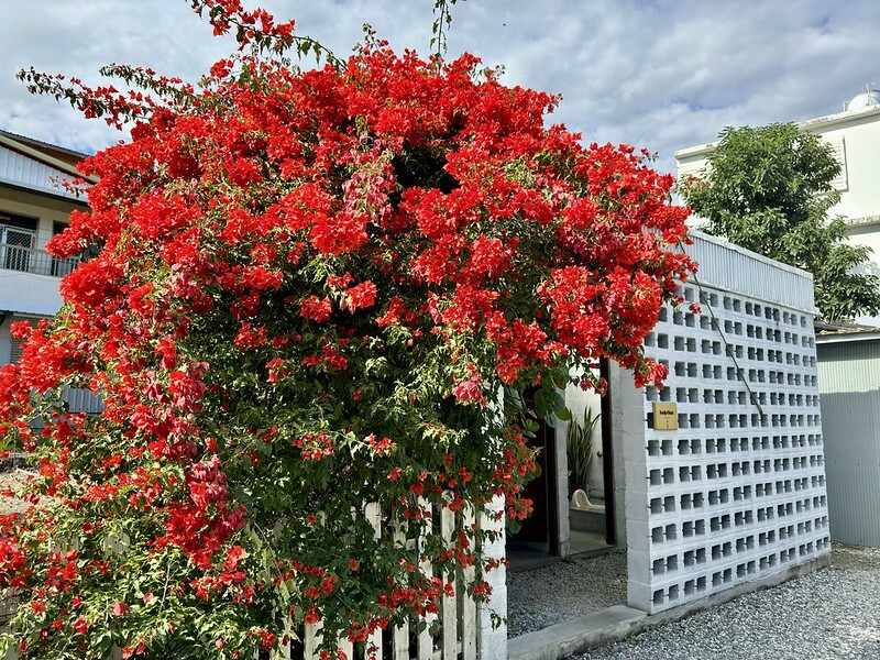 花蓮縣壽豐鄉花蓮美食｜小和山谷（PEACEFUL VALLEY）徜徉於復古懷舊的美味時光。（花蓮旅遊，壽豐美食，花蓮早午餐，花