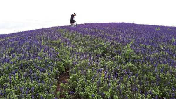 20180415_103647 (1).jpg