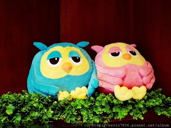 20171010_142604.jpg 20171010_142604.jpg