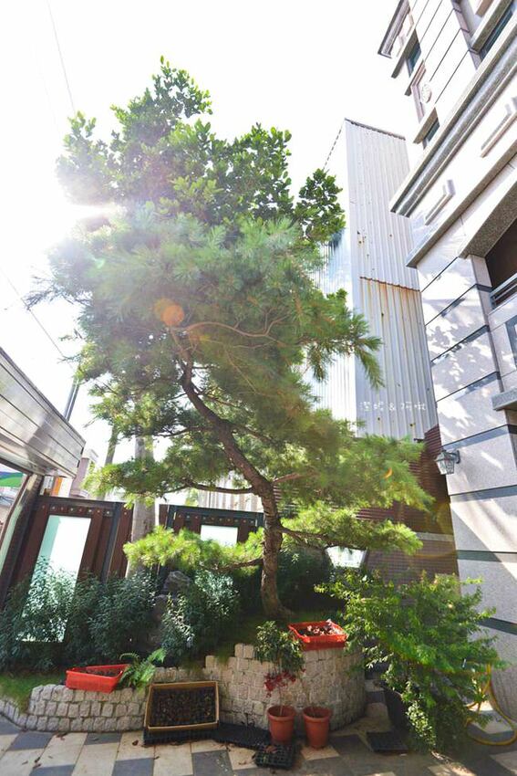 大溪美食【木木秧咖啡】超澎湃好吃的早午餐 隱藏版低調好店