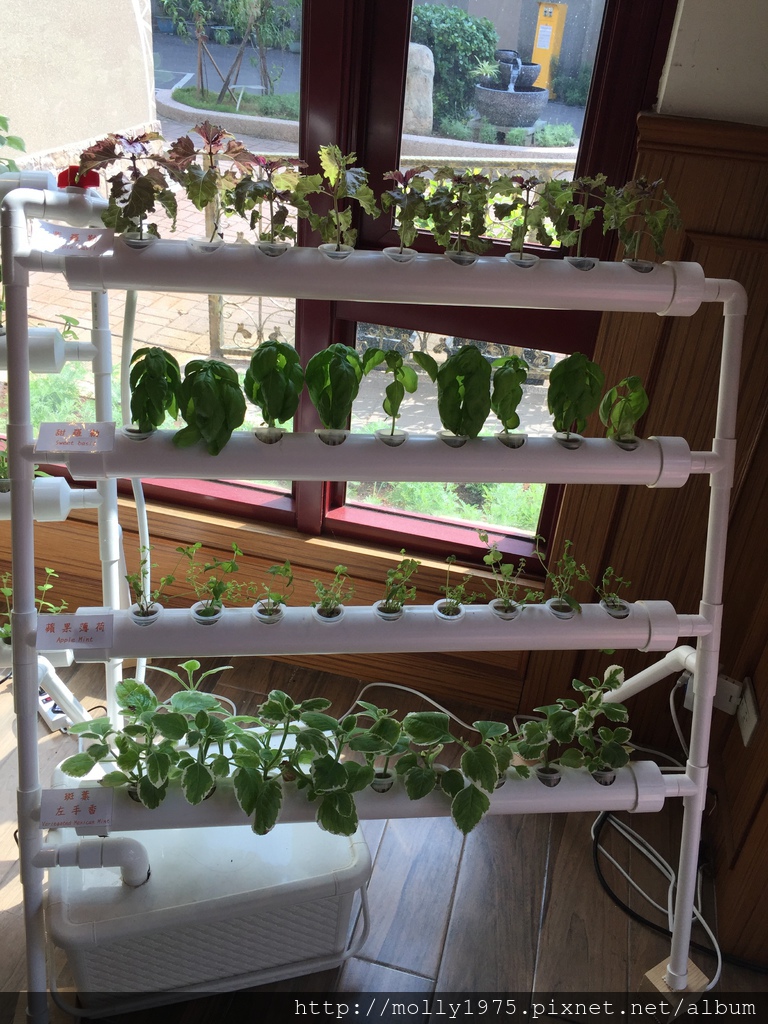 IMG_0517.JPG IMG_0517.JPG