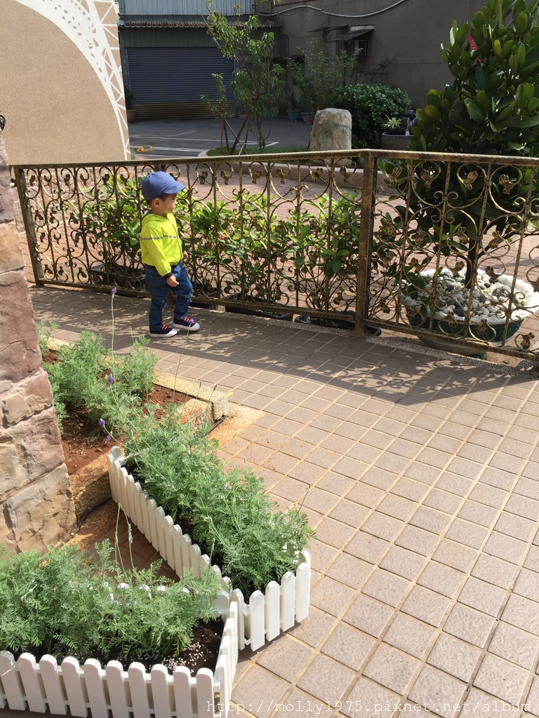 IMG_0516.JPG IMG_0516.JPG