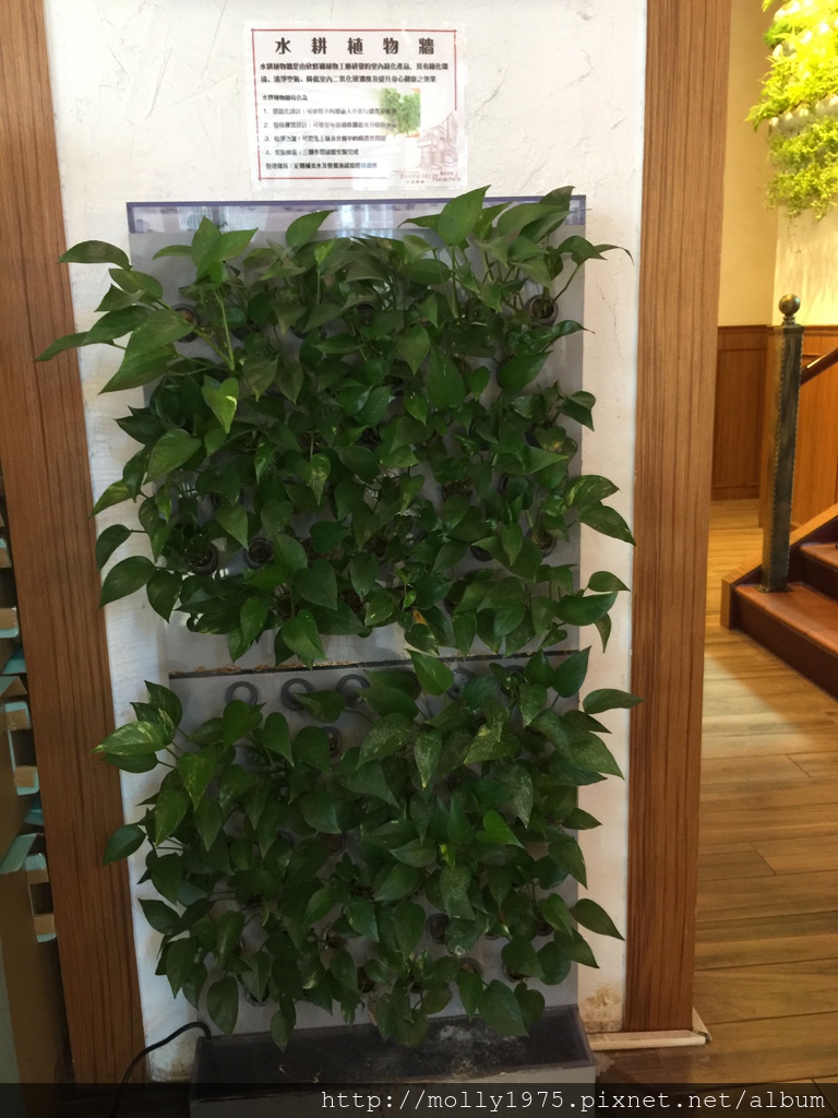 IMG_0524.JPG IMG_0524.JPG