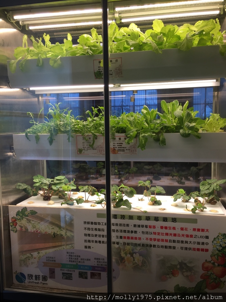 IMG_0551.JPG IMG_0551.JPG