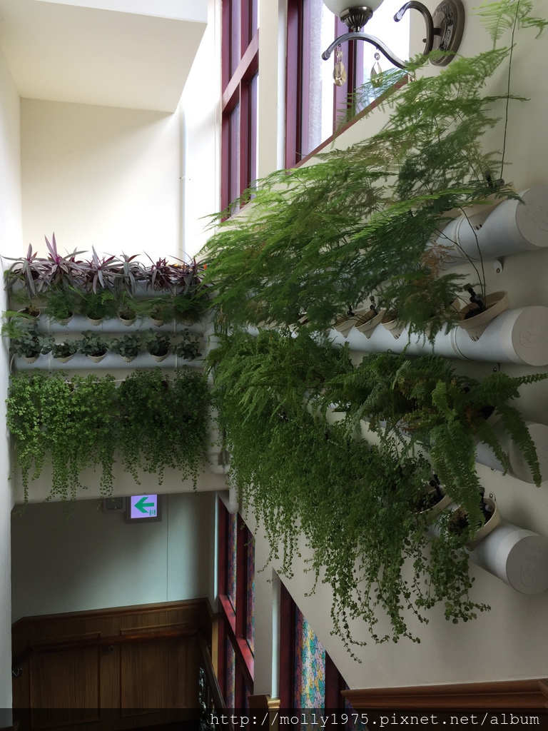 IMG_0553.JPG IMG_0553.JPG