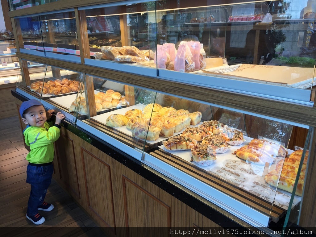 IMG_0559.JPG IMG_0559.JPG