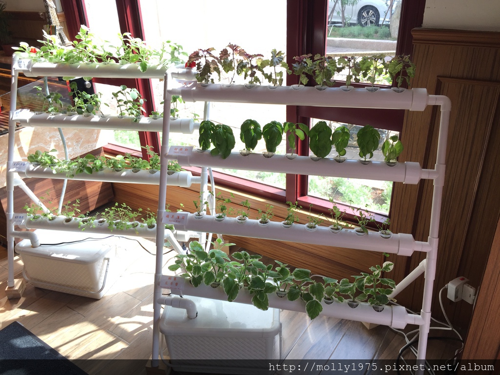 IMG_0518.JPG IMG_0518.JPG