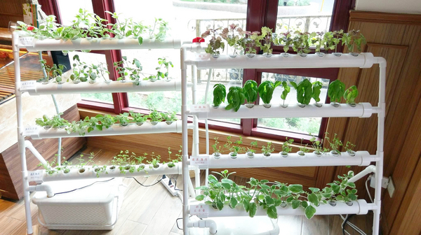 BISTRO181 法式烘焙坊：桃園龜山Bistro181 法式烘焙坊-主打健康天然麵包，採用自種植物 ，現正推出派對餐盒 ，還有法國麵包裹烤雞超吸睛!!聖誕節不用再東奔西跑